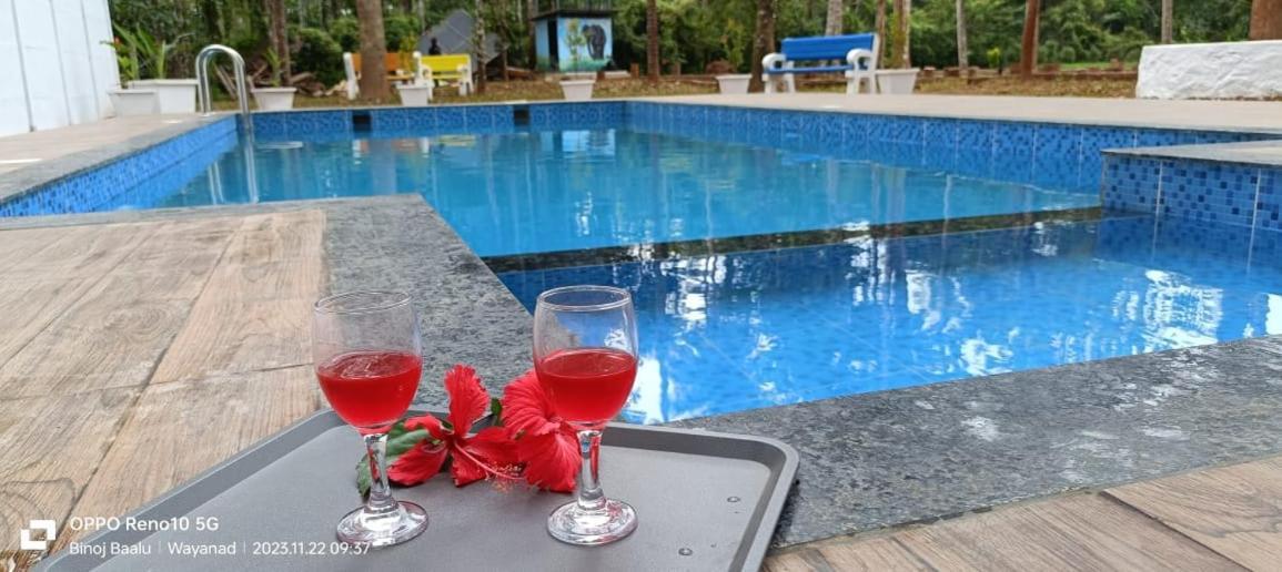 Paddyfield Inn Mananthavady Exterior foto