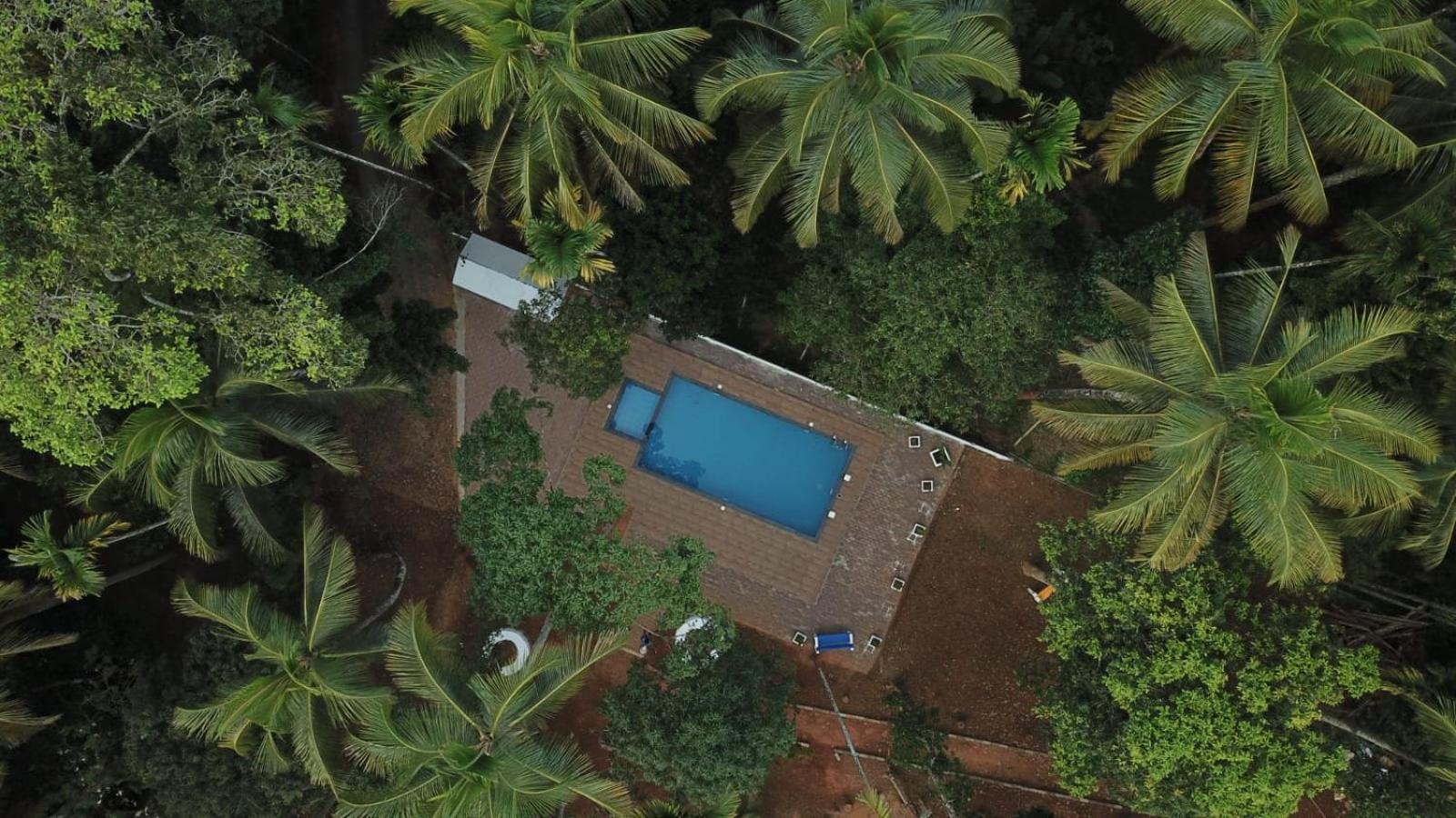Paddyfield Inn Mananthavady Exterior foto