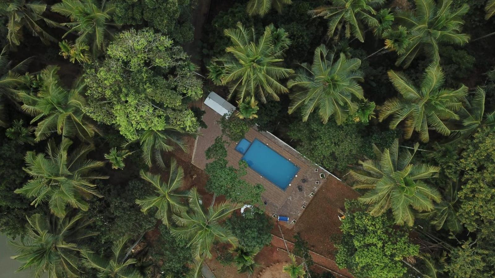 Paddyfield Inn Mananthavady Exterior foto